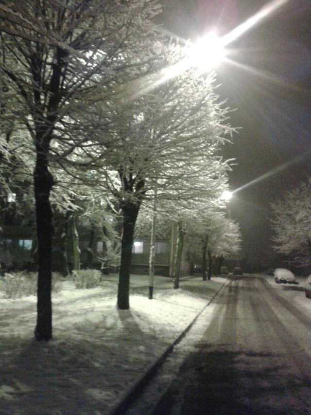 zima 2013 ory
