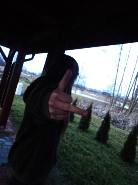 Palic ;D