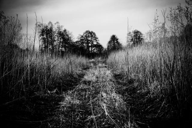 Road to nowhere.