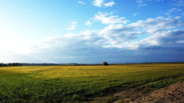 Krajobraz - Strzelno ;D