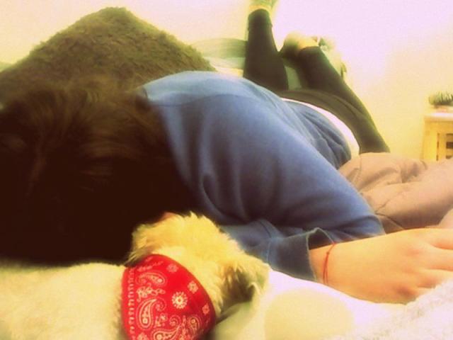 Wpis hajbiczyyysx3