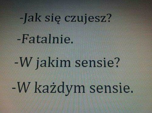Wpis zdupiajj