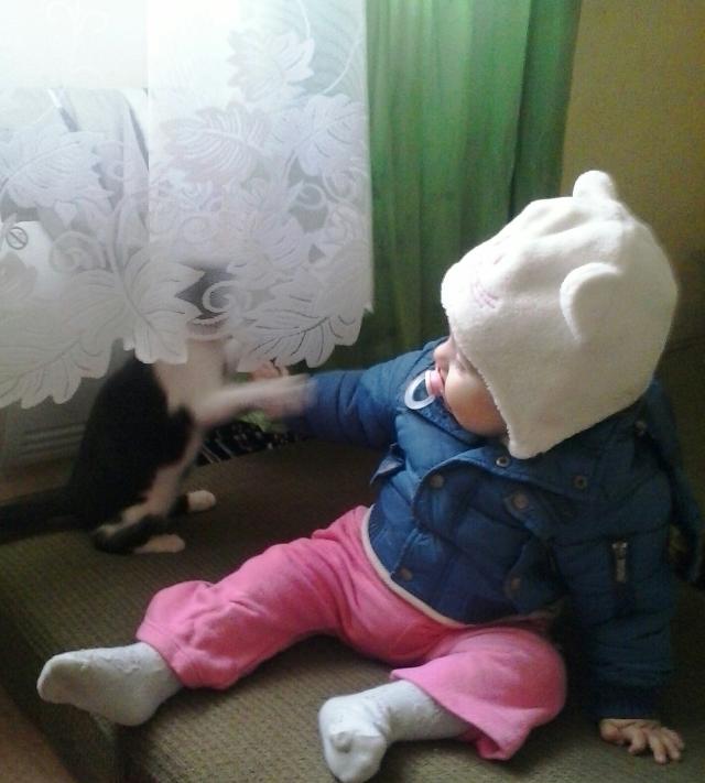 Wpis pysiekiki