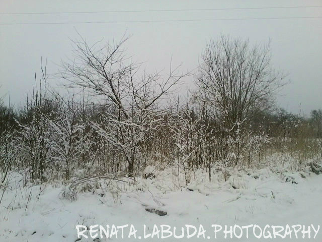 Wpis renata99photography