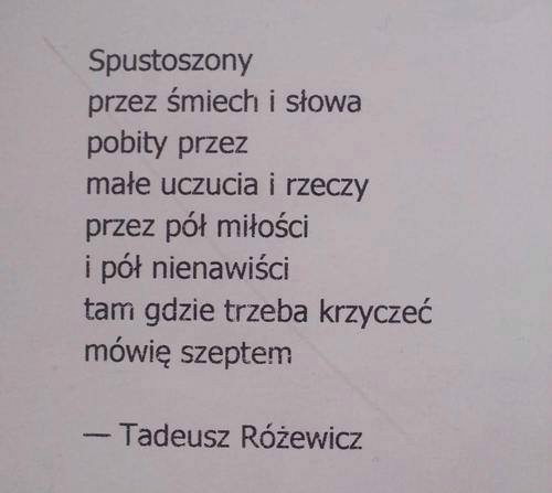 Wpis stokrotek