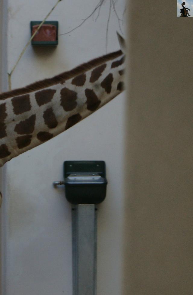 Z wycieczki do Zoo