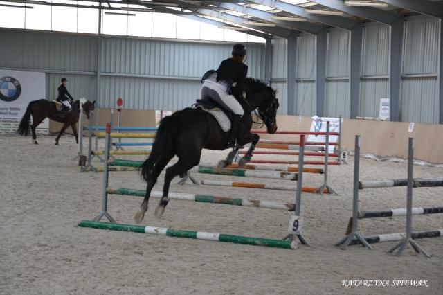 ZR Piker 26.02. 