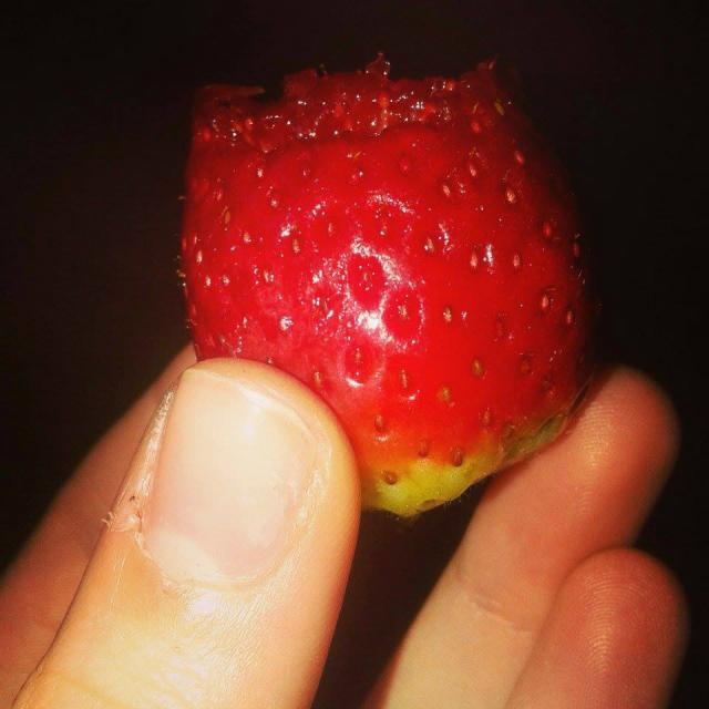 stawberry 