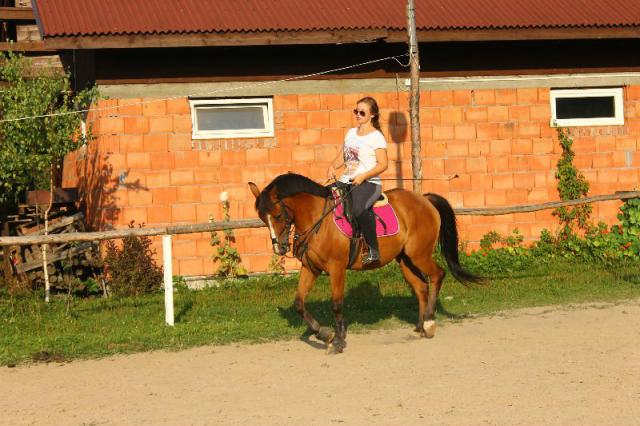 #Halo#Love#My#Horse#3lata#razem