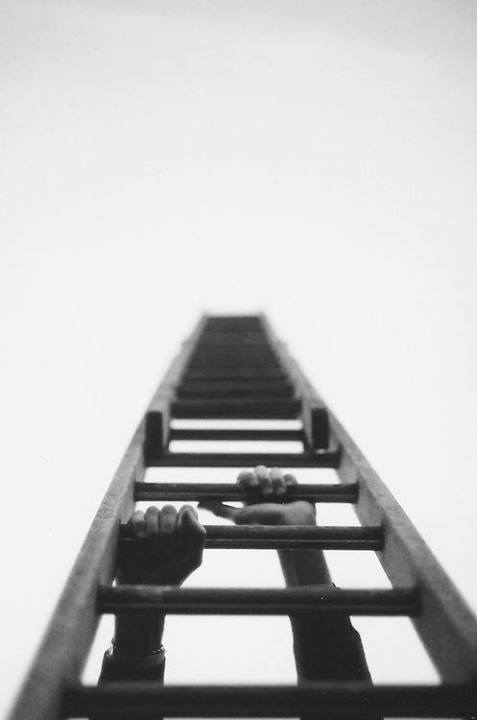 4. 