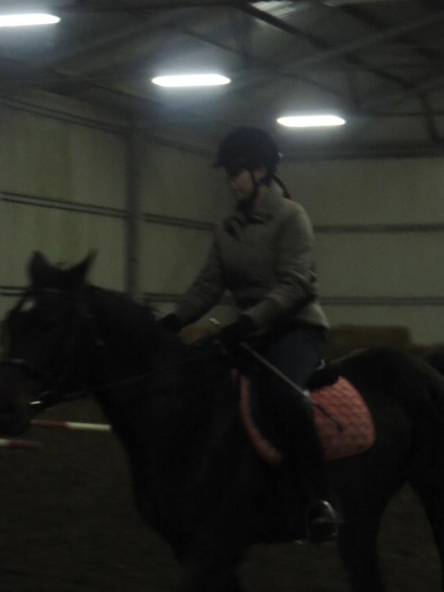 Wpis mybayhorse