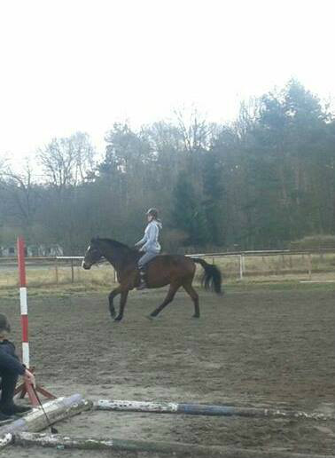 Wpis blaackrider