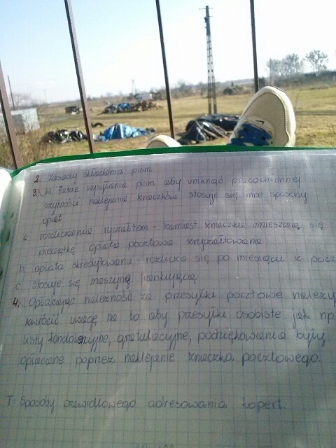 Wpis pomaranczowamandarynka
