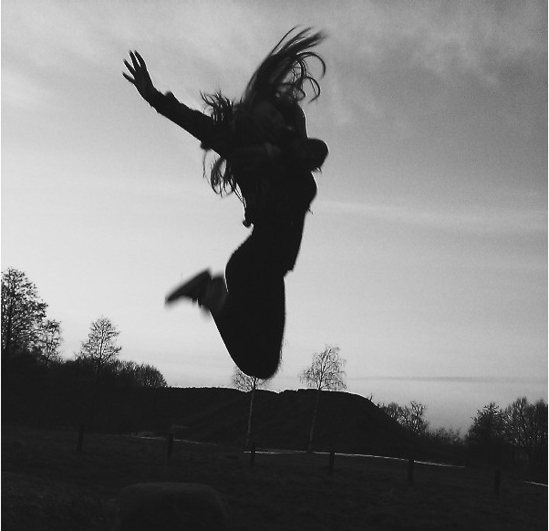 Fly