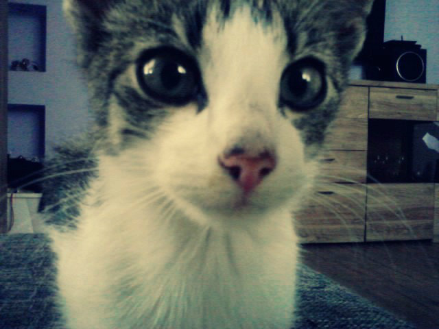 TE OCZY *.*