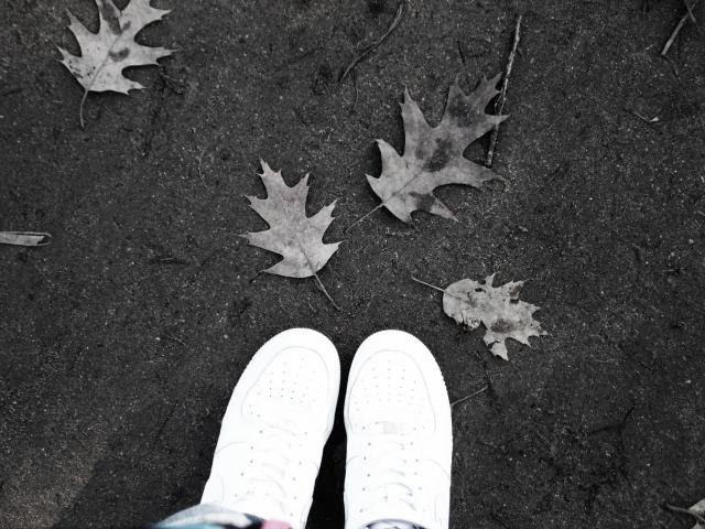 Wpis zasadysapotobyjelamac