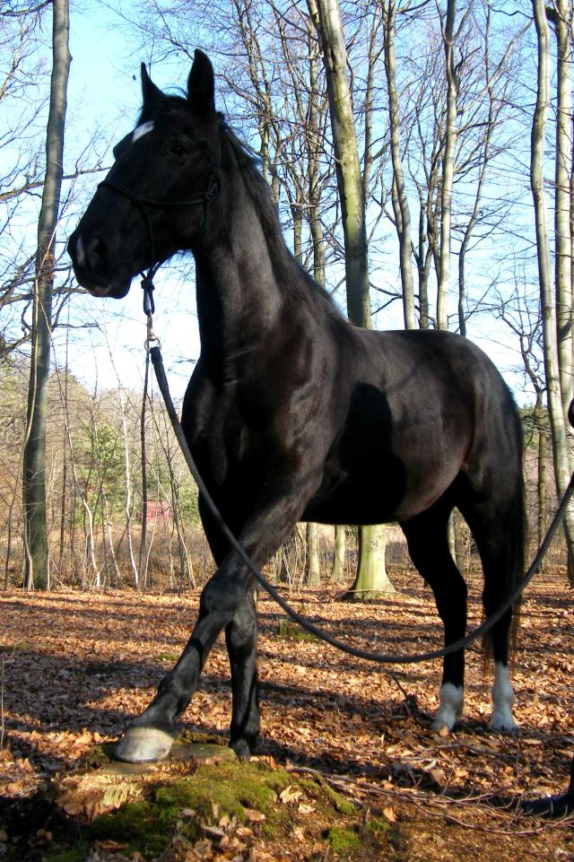 Wiosennie