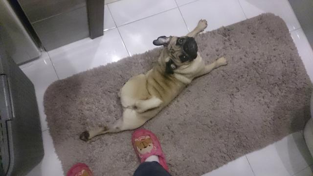 taaaa ;p 6 rano;d