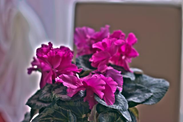 Pierwszy w yciu HDR :)