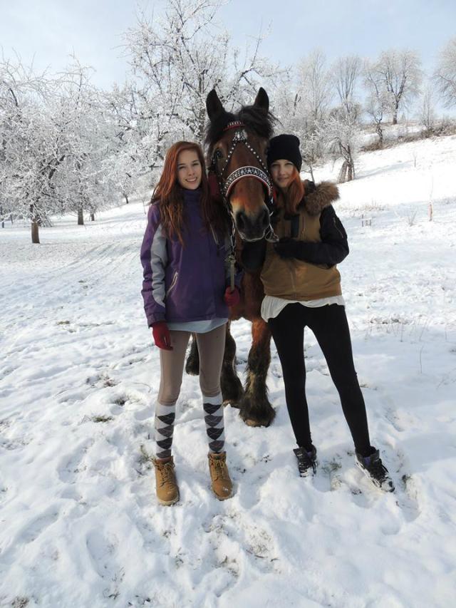 zimo!