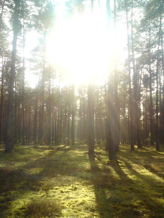 Wpis aktpierwszyscenapierwsza