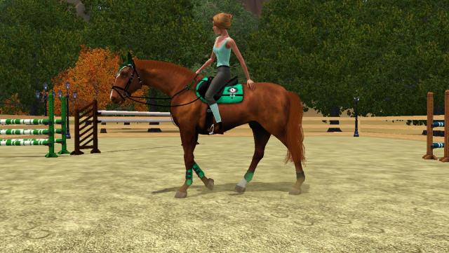 Wpis equestriancenter