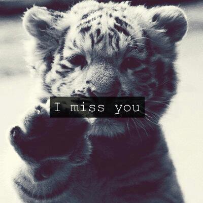 Wpis mniaaamx3