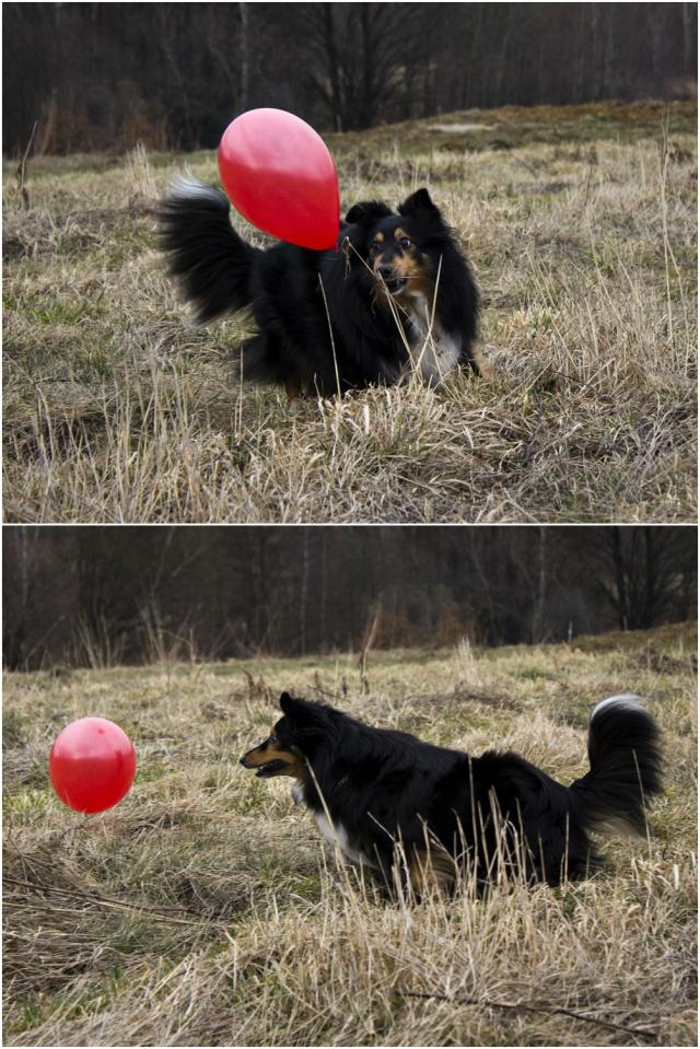Balonowo !