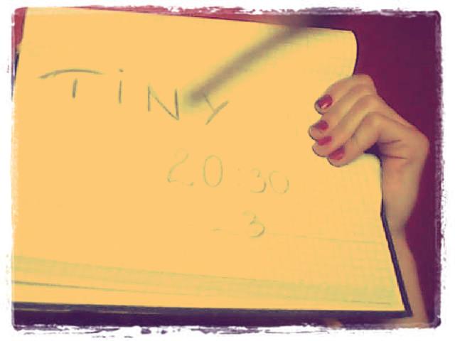 TINYCHAT 