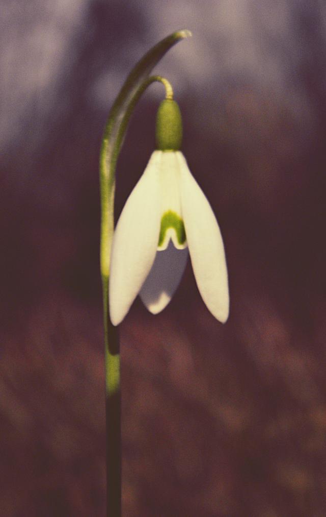 :)