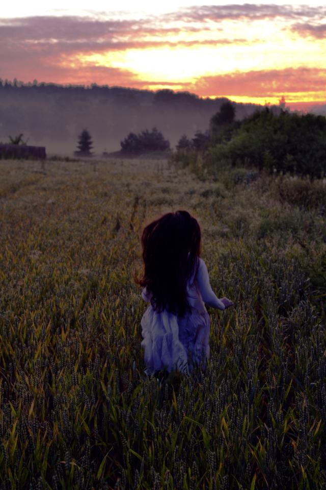 Sunrise in wheat 