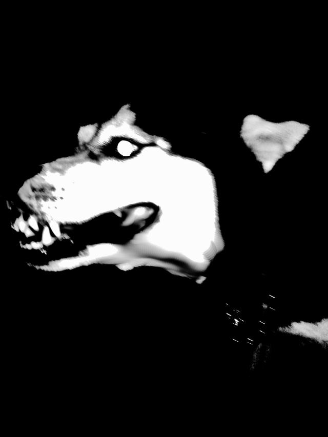 Trucho