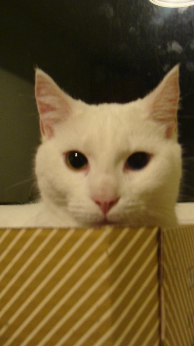 Luna