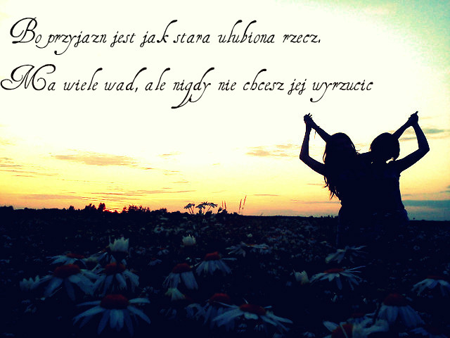 Wpis tynkaxxx