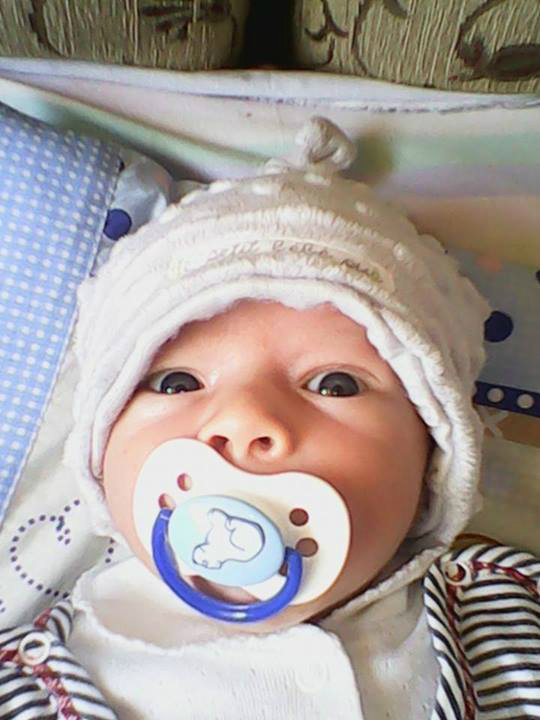 Synek. ! 