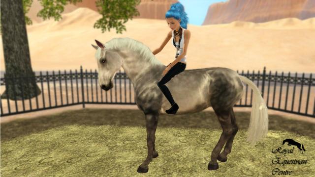 Wpis thesimscentre