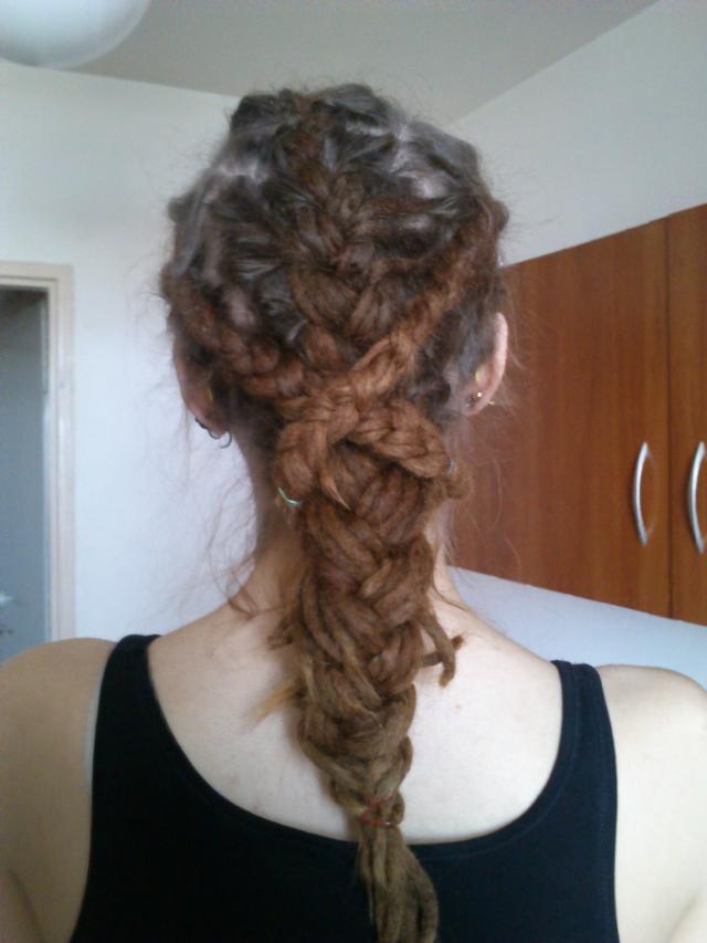 Wpis drzewnymyszak
