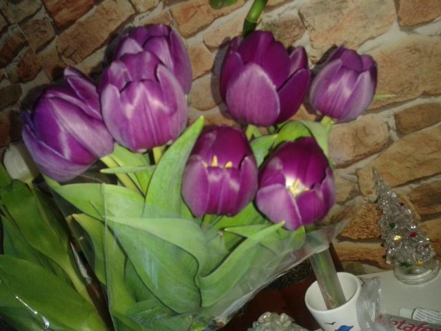 Wpis sylwia11221
