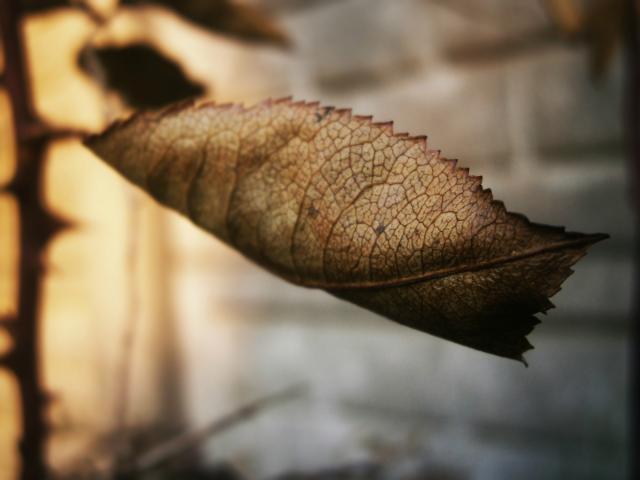 20.