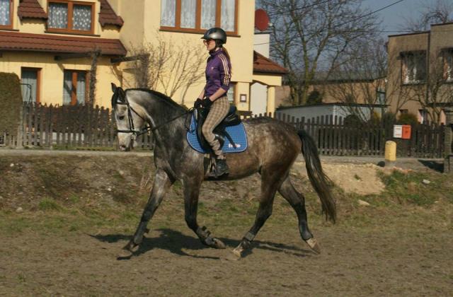 Laki 
