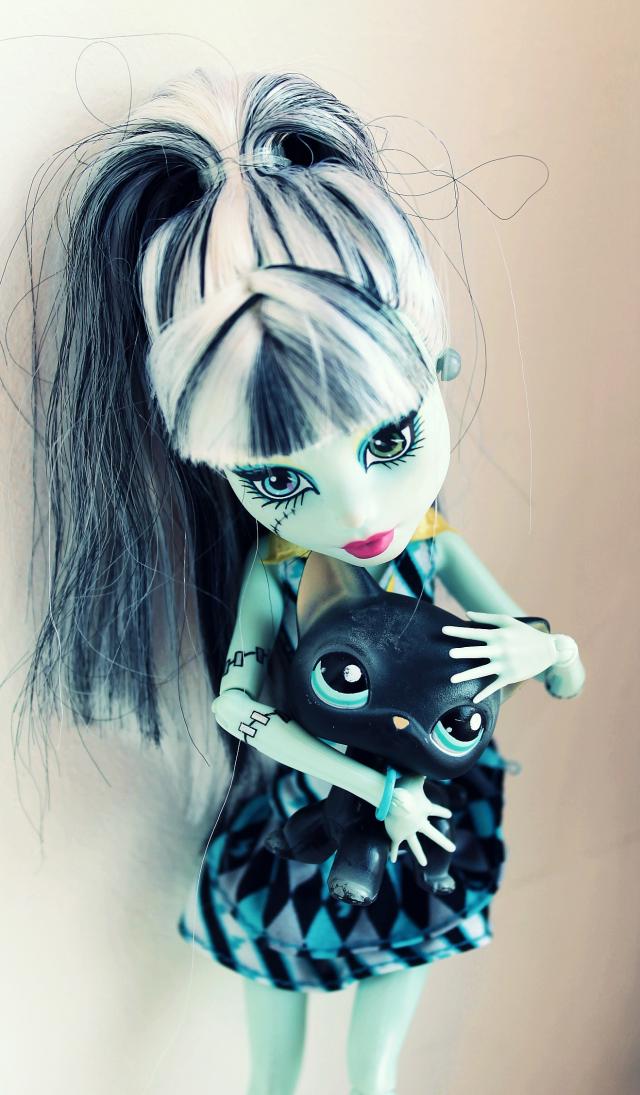 Wpis smallcat123