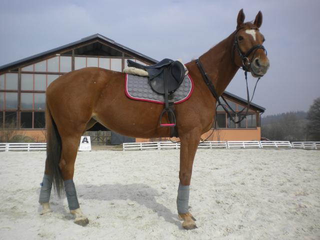 Top Model