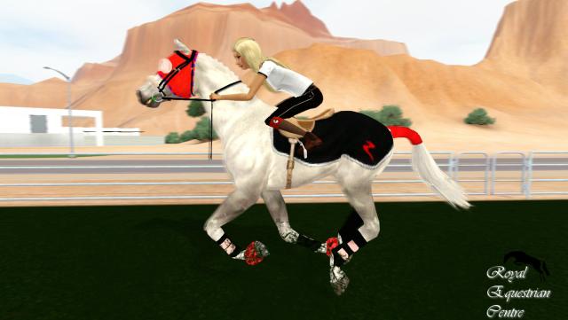 Wpis thesimscentre