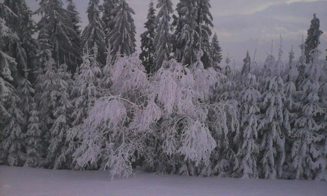 zimowe :))
