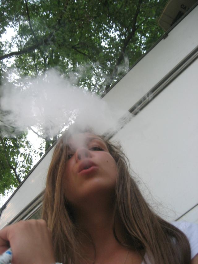 Wpis sylwiuskaa