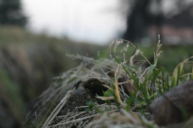 Wpis amatorskafotografia1