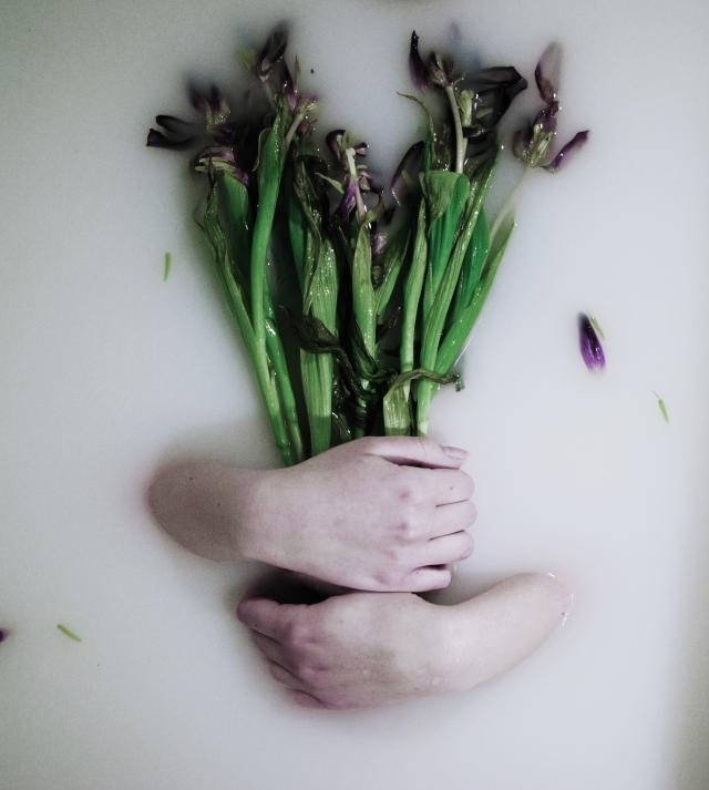 Wpis nephrantus