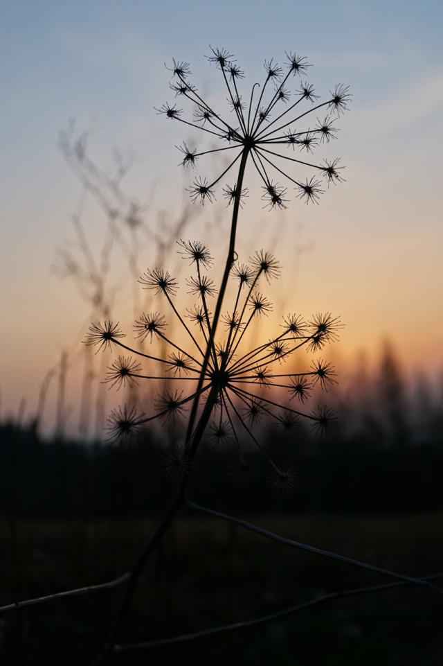 20 . 