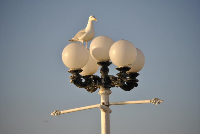Brighton
