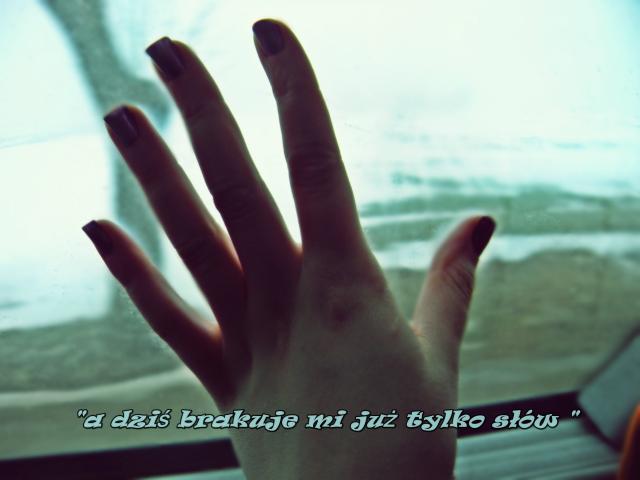 Wpis kilkakrokowwstecz